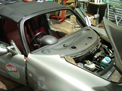Elise Screen Removed